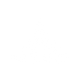wild forest - Inicio